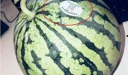 网红吃瓜盘点,揭秘娱乐圈幕后真相